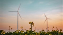 Image credit: Tim van der Kuip on Unsplash