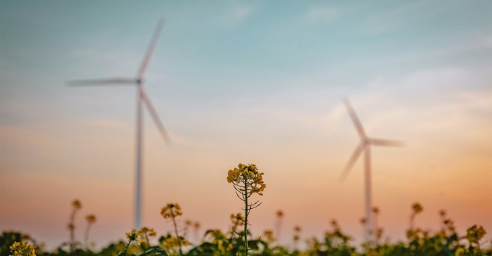 Image credit: Tim van der Kuip on Unsplash