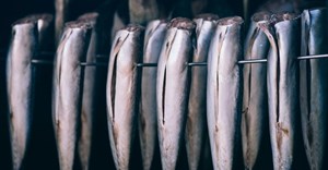 SA&#x2019;s fish exports outrun inflation, gains global traction