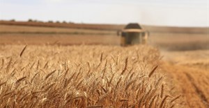 Source: meriç tuna via