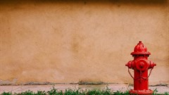 Image credit: Ashim D’Silva on Unsplash