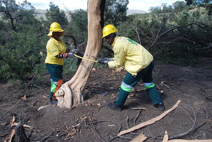 Source: WWF Nedbank Green Trust