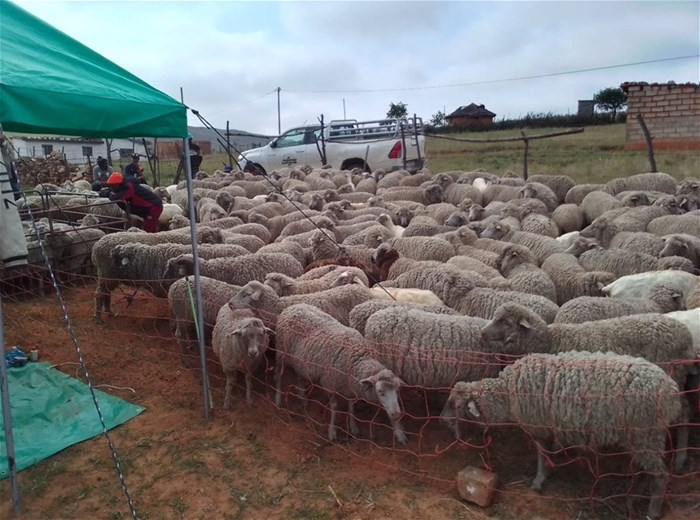 Source: WWF Nedbank Green Trust