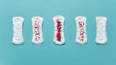 Image credit: Cliff Booth on Pexels