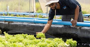 Investing in youth potential: World Youth Skills Day in the South African context