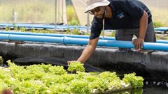 Investing in youth potential: World Youth Skills Day in the South African context