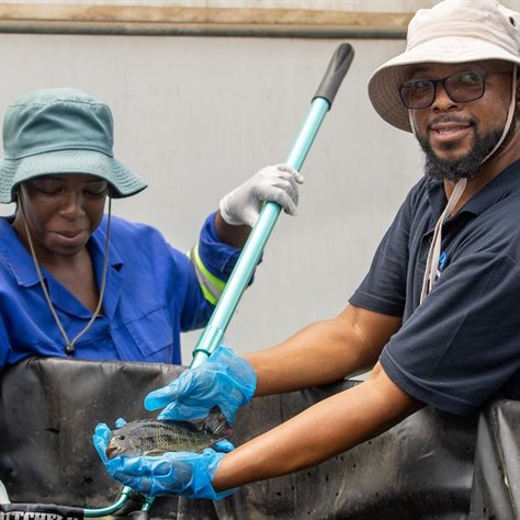 Investing in youth potential: World Youth Skills Day in the South African context