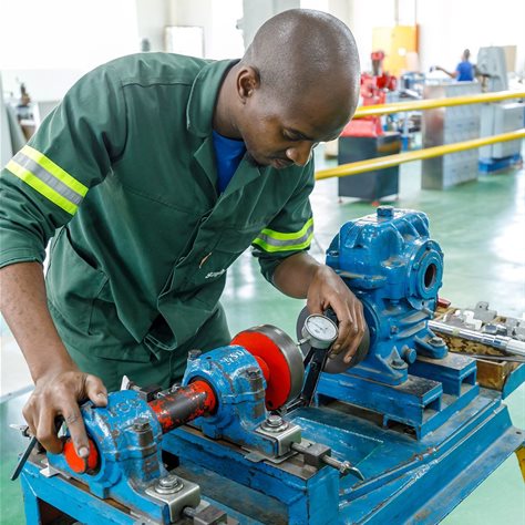 Investing in youth potential: World Youth Skills Day in the South African context