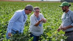 Precision breeding powers climate resilience in SA