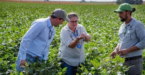 Precision breeding powers climate resilience in SA