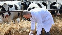 Department of Agriculture and ARC to host foot and mouth disease indaba