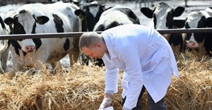 Department of Agriculture and ARC to host foot and mouth disease indaba