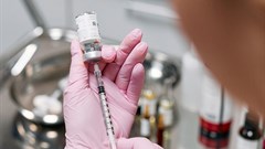 Image credit: cottonbro studio on Pexels