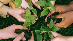 Image credit: Anna Shvets on Pexels