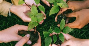 Image credit: Anna Shvets on Pexels
