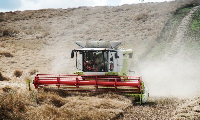 Source: rawpixel via