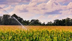 Source: wirestock via