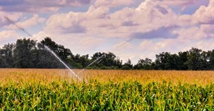 Source: wirestock via