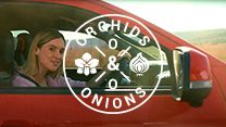 #Orchids&Onions: Ford gets it, iWyze doesn&#x2019;t
