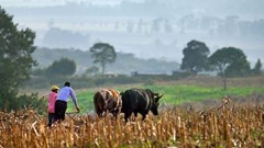 How tech and finance are unlocking Africa&#x2019;s smallholder farming future