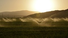 Source: Süleyman Sahan via