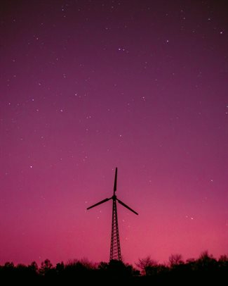 Image credit: Jonas Von Werne on Pexels