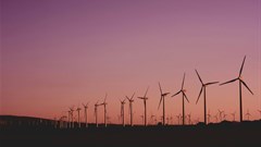 Image credit: Narcisa Aciko on Pexels