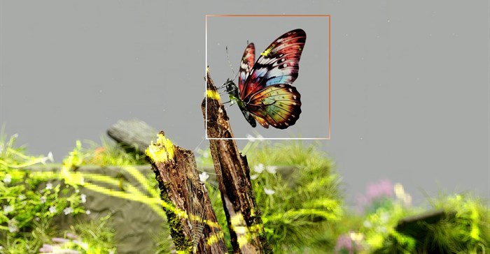 Image credit: Google DeepMind on Pexels