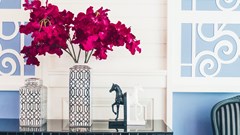 Tourism industry embraces innovation and experiences to thrive amid global slowdown