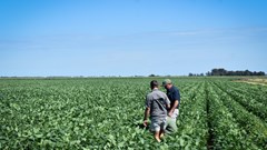 New training programme targets business skills for crop advisors