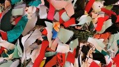 Image credit: Paulo Sérgio Zembruski on Pexels