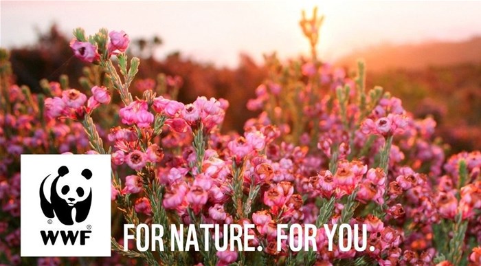 World Wide Fund for Nature appoints Hook, Line & Sinker as PR agency