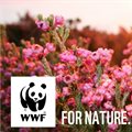 World Wide Fund for Nature appoints Hook, Line & Sinker as PR agency