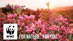 World Wide Fund for Nature appoints Hook, Line & Sinker as PR agency