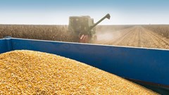 Agriculture’s tariff concerns – cautious reaction to interest rates