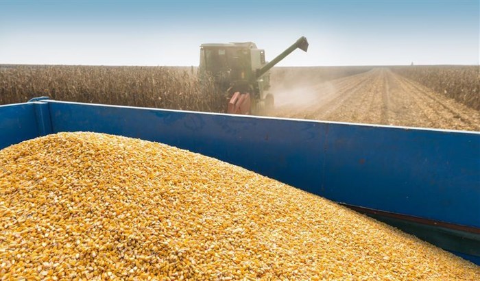 Source: ©Kostic Dusan via