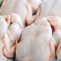 SA poultry sector demands urgent revocation of US import quota