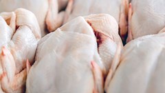 SA poultry sector demands urgent revocation of US import quota