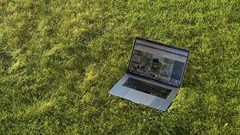 Image credit: Cora Pursley on Dupe Photos