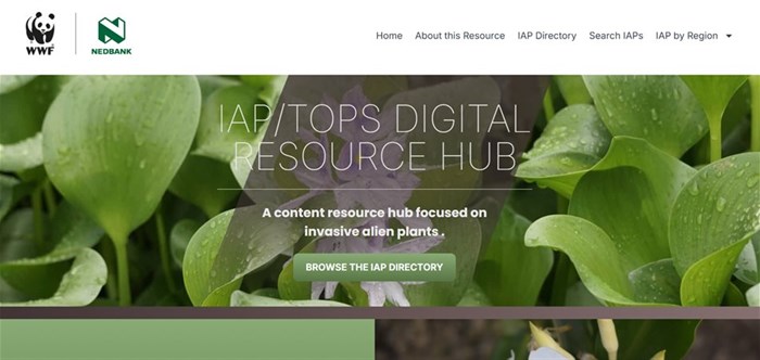 New online tool for identifying invasive alien plant species