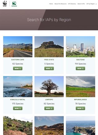 New online tool for identifying invasive alien plant species