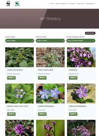 New online tool for identifying invasive alien plant species