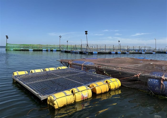 Source: Supplied | Metal-frame, floating cage that is used to farm Nile tilapia in Busia County, Lake Victoria. Photo credit: Eric Teplitz.