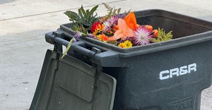 Image credit: Brit Stubbs on Dupe Photos