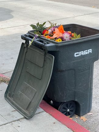 Circularity in the Cape: Wesgro launches CEO Guide