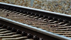 Source: Alexas_Fotos via