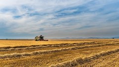 Source: josealbafotos via