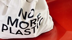 Image credit: Anastasia Yaniuk on Dupe Photos