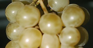 Vinimark's 40th anniversary marks a new era in sustainable wine partnerships