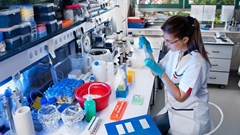 Image source: Anna Ivanova –